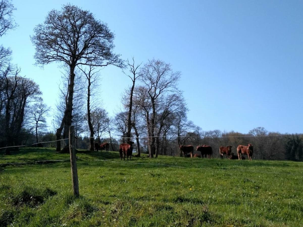 Вилла Gite Le Valet, T2 Classe 3 Etoiles, Entre Rennes Et Saint-Malo La Chapelle-aux-Filtzmeens Экстерьер фото